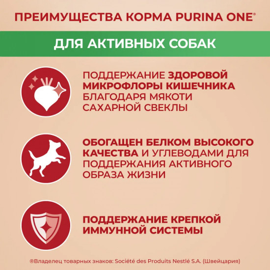 Корм сухой для собак мелких пород при активном образе жизни с курицей и рисом
