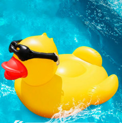 Утка для плавания и отдыха на воде - Фото 2