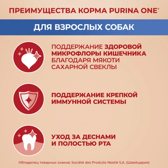 Сухой корм для взрослых собак мелких и карликовых пород с говядиной и рисом
