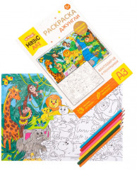 Раскраска «Джунгли» - Фото 9