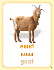 Ферма жануарлары. Животные фермы. Farm animals. Дидактикалық карточкалар. Дидактические карточки - Фото 3