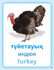 Ферма жануарлары. Животные фермы. Farm animals. Дидактикалық карточкалар. Дидактические карточки - Фото 4