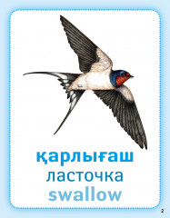 Құстар (көші-қон, қыстау). Птицы (перелётные, зимующие). Birds (migratory, wintering). Дидактикалық карточкалар. Дидактические карточки - Фото 1
