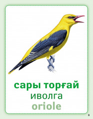 Құстар (көші-қон, қыстау). Птицы (перелётные, зимующие). Birds (migratory, wintering). Дидактикалық карточкалар. Дидактические карточки - Фото 2