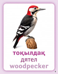 Құстар (көші-қон, қыстау). Птицы (перелётные, зимующие). Birds (migratory, wintering). Дидактикалық карточкалар. Дидактические карточки - Фото 3