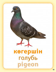 Құстар (көші-қон, қыстау). Птицы (перелётные, зимующие). Birds (migratory, wintering). Дидактикалық карточкалар. Дидактические карточки - Фото 4