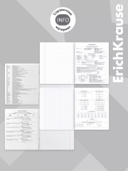 Комплект тетрадей общих ученических со справочным материалом - Фото 5