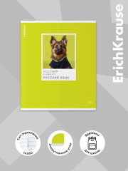 Комплект тетрадей общих ученических со справочным материалом - Фото 4