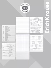 Комплект тетрадей общих ученических со справочным материалом - Фото 5