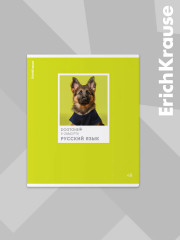 Комплект тетрадей общих ученических со справочным материалом - Фото 6