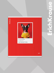 Комплект тетрадей общих ученических со справочным материалом - Фото 7