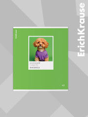 Комплект тетрадей общих ученических со справочным материалом - Фото 10