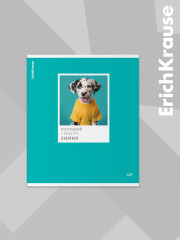 Комплект тетрадей общих ученических со справочным материалом - Фото 11