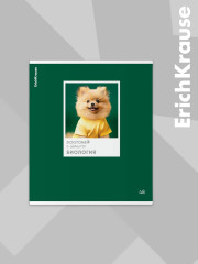 Комплект тетрадей общих ученических со справочным материалом - Фото 12