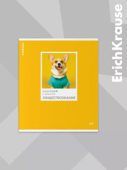 Комплект тетрадей общих ученических со справочным материалом - Фото 15