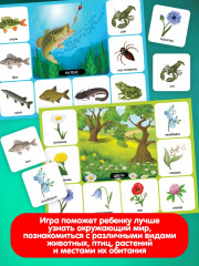 Лото «Лето в деревне» - Фото 4