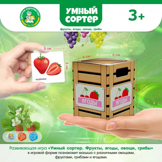 Игра настольная «Фрукты, ягоды, овощи, грибы»