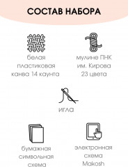 Набор для вышивания на пластиковой канве «Дочь вождя» - Фото 1