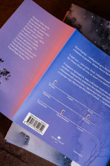 Веди меня через бури горы Химицу - Фото 3