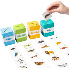 Игра настольная «Животные, птицы, рыбы, насекомые» - Фото 12