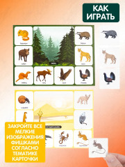 Лото детское: Кто где живет? - Фото 3