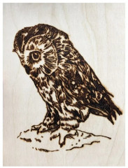 Доски для выжигания «Мастер» - Фото 14