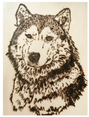 Доски для выжигания «Мастер» - Фото 15