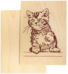 Доски для выжигания «Котик» - Фото 3