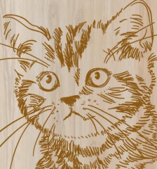 Доски для выжигания «Котик» - Фото 7