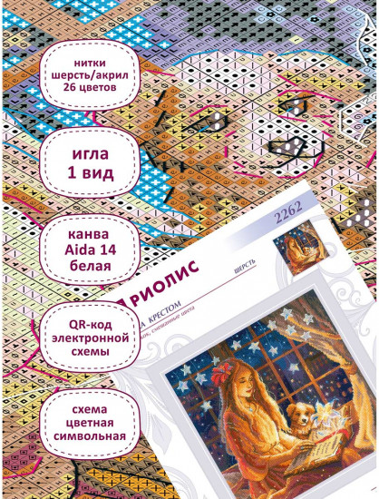 Набор для вышивания «Волшебная книга»