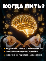 Капсулы для улучшения мозгового кровообращения - Фото 5