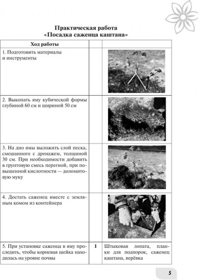 Технология. 9 класс. Цветоводство и декоративное садоводство. Рабочая тетрадь