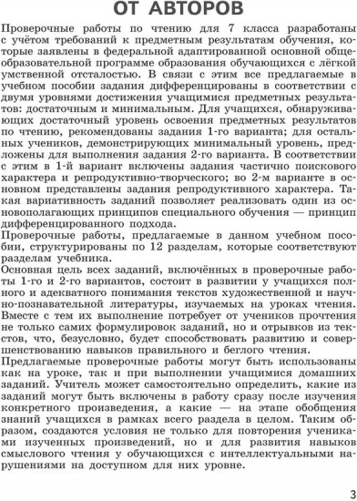 Чтение. 7 класс. Проверочные работы