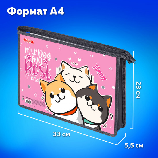 Папка для тетрадей «Best team»
