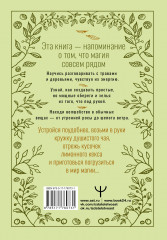 Зеленое ведовство. Уютная книга природной магии - Фото 1