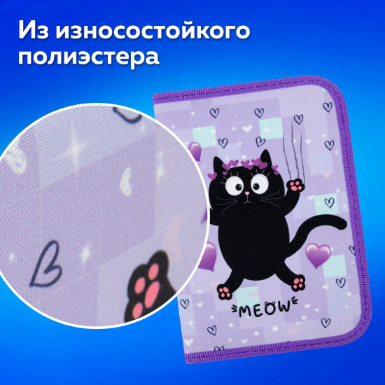 Пенал школьный «Falling cat»