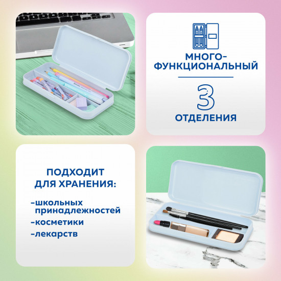 Пенал школьный