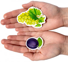 Магниты «Фрукты» - Фото 14