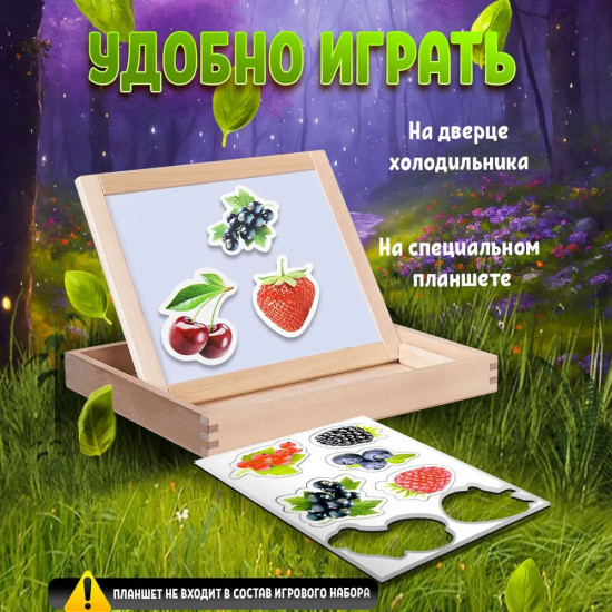 Магниты «Ягоды»