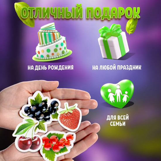 Магниты «Ягоды»