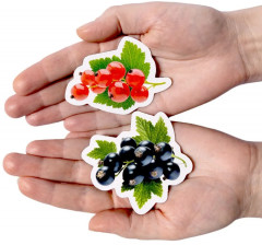 Магниты «Ягоды» - Фото 12