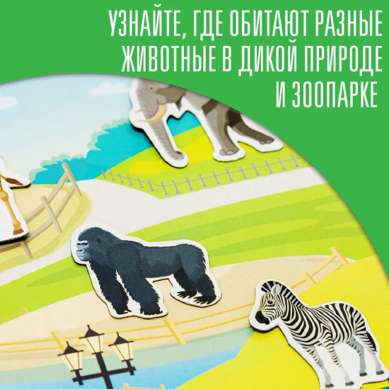 Магниты «Сафари-Зоопарк»