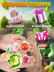 Магниты «Овощи» - Фото 3