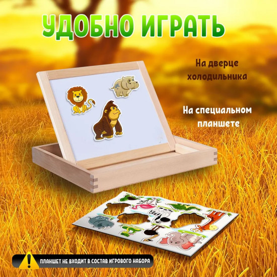 Магниты «Африка»