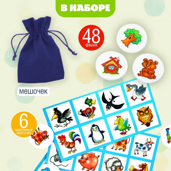 Лото «Мир вокруг»