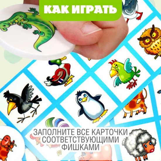 Лото «Мир вокруг»