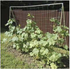 Сетка шпалерная - Фото 5