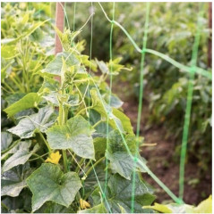 Сетка шпалерная - Фото 6