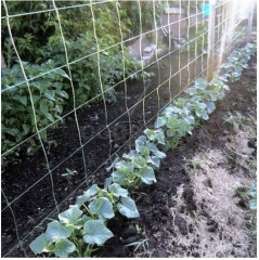 Сетка шпалерная - Фото 7