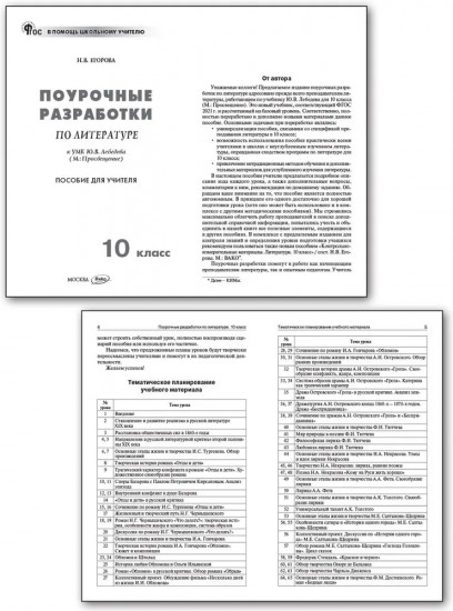 Поурочные разработки по литературе. 10 класс